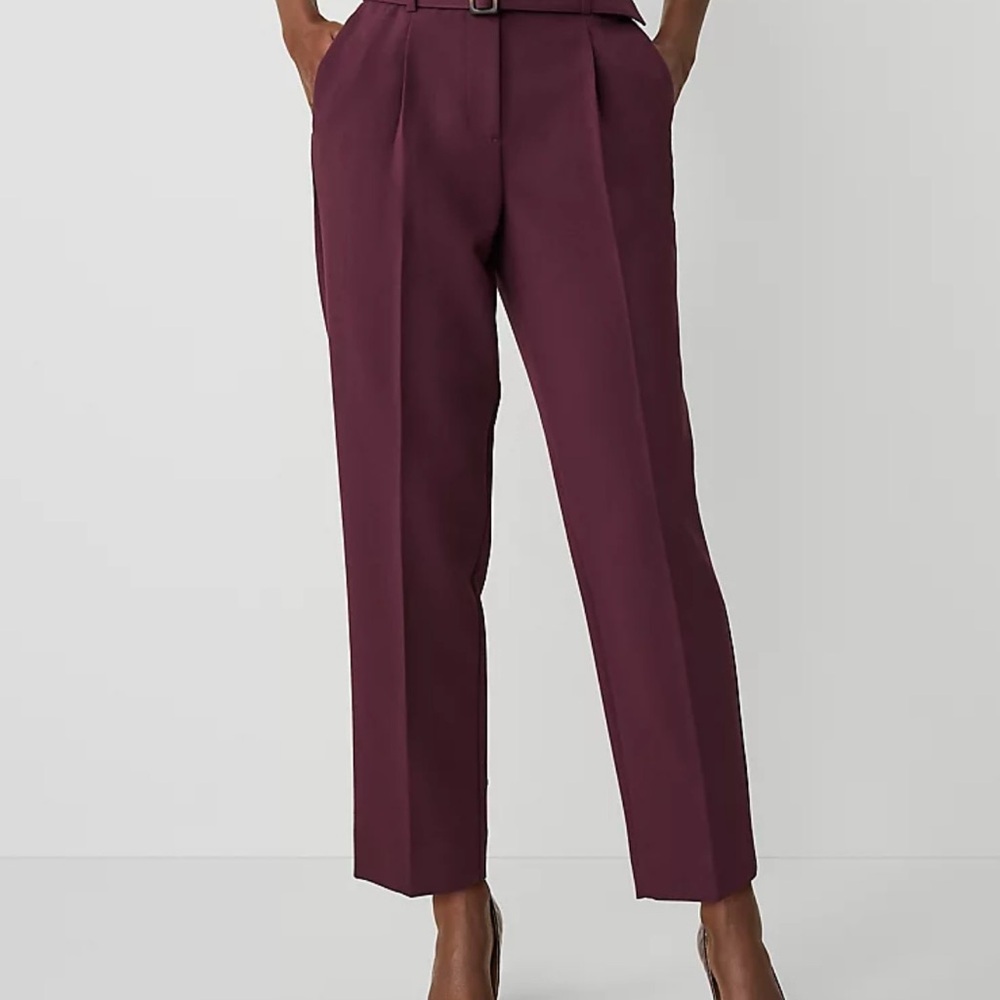 Ann Taylor Rich Burgundy Women's Trousers